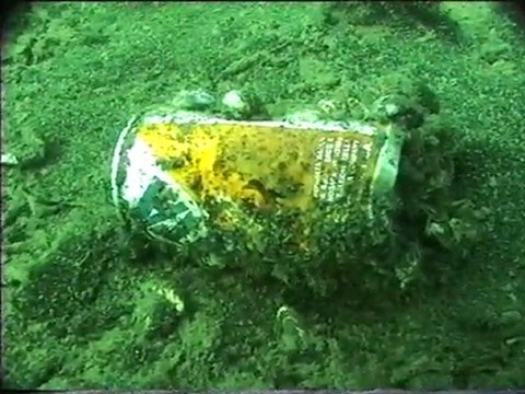 Immagini subacquee dal fondale del lago d'Iseo video amatoriale di Clarari Luciano