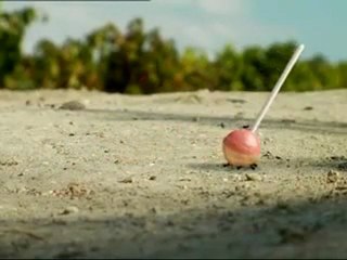 karıncayla kara sinek