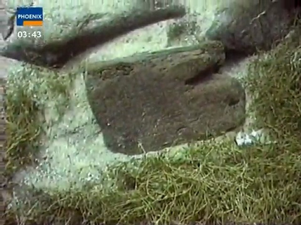 Raetsel um Atlantis - Spurensuche in den Anden