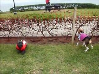 Black or White. Jock y Bigotes video