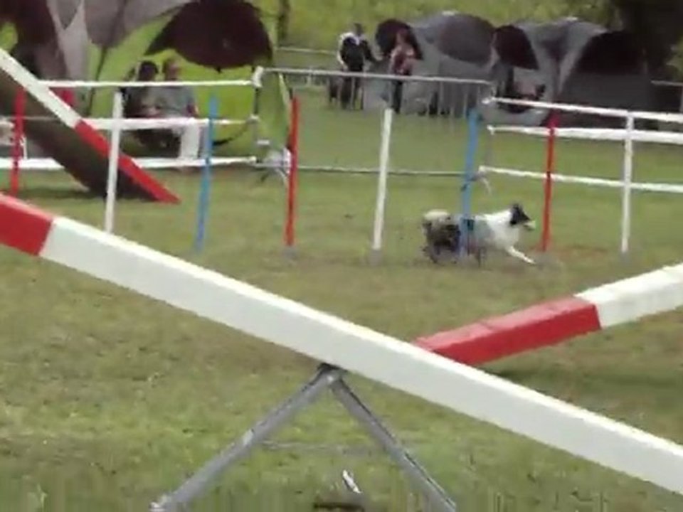 solidaritéagility 4