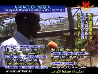 A Place of Mercy:The Uganda Wildlife Education Centre- P2/2