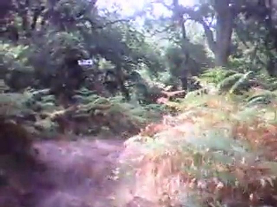 rando vtt capbreton 7 auot 2011 part2