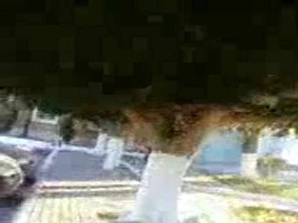 municipalité de monastir avenue bourguiba monastir tunisie (2)