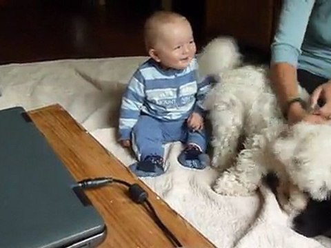 victor rit aux éclats