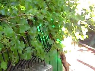 video vacances Besseges 2011 081