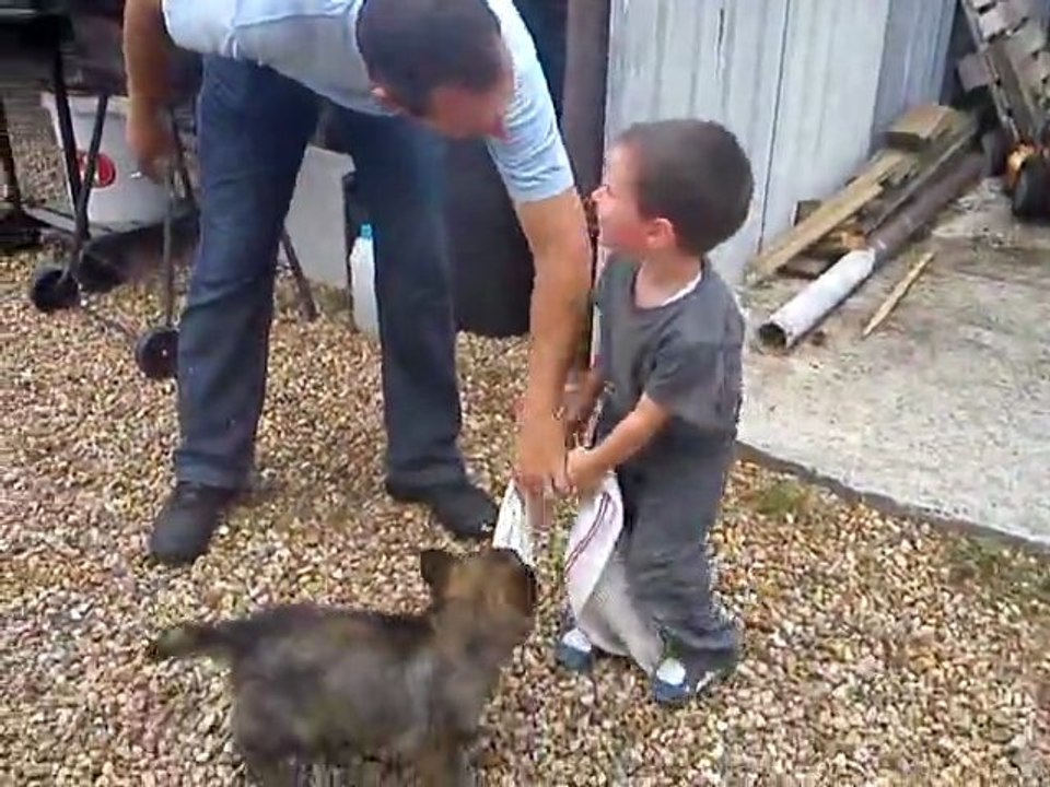 GOTHAN du Domaine de Kilorff le 13/08/2011