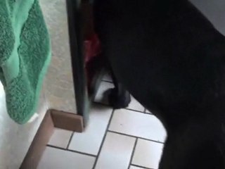 Lita la gueule dans le sac