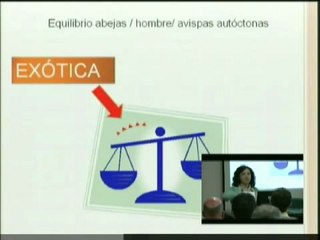 Especies de avispas en España