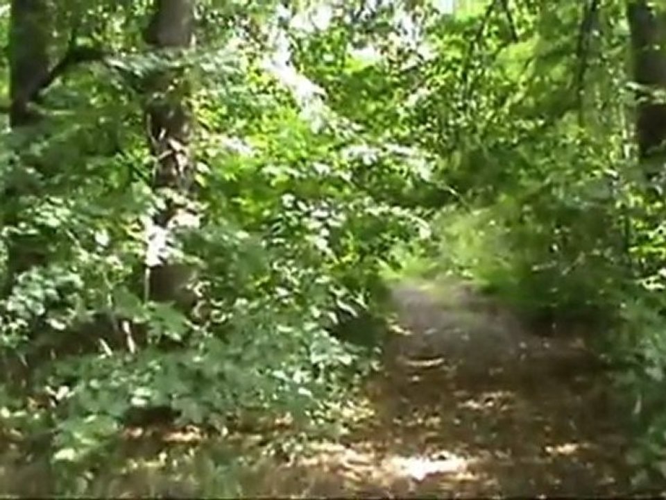 Прогулка тов. Жданова (история одной кинонаходки).