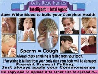 video : video : Healthy Body Healthy Life