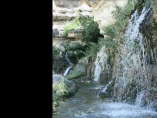 SUYUN DOĞAYLA DANSI KIRKPINAR (Hayal FotOrg)