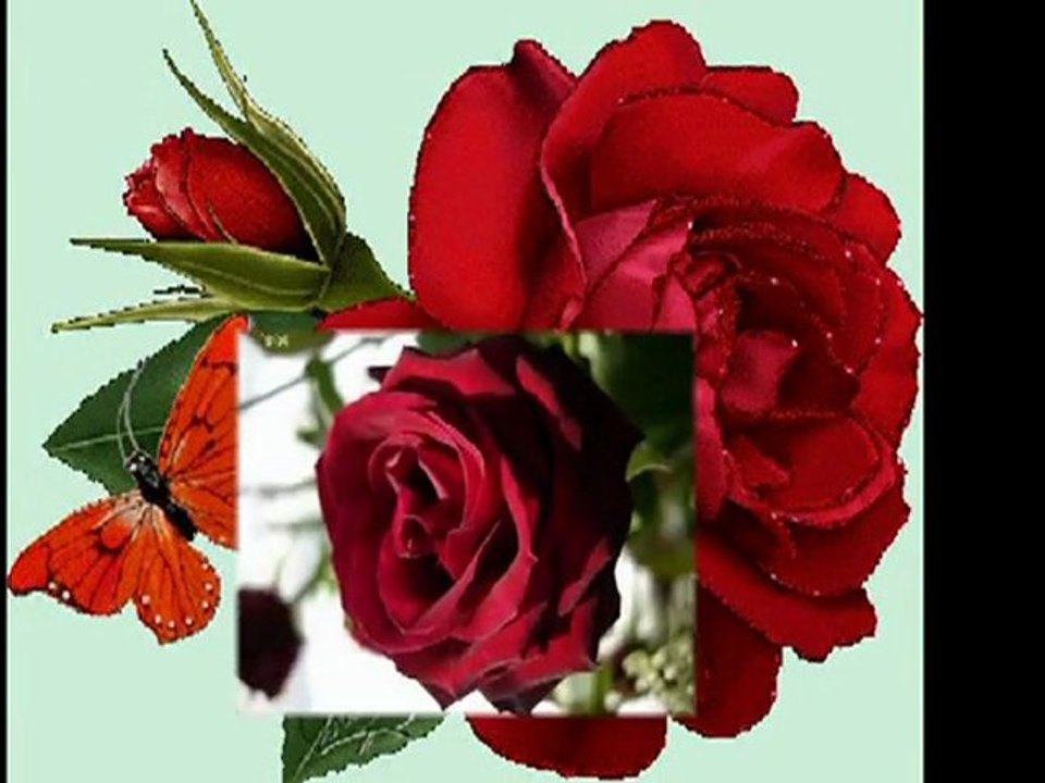 Des roses pour Sami Akrimi