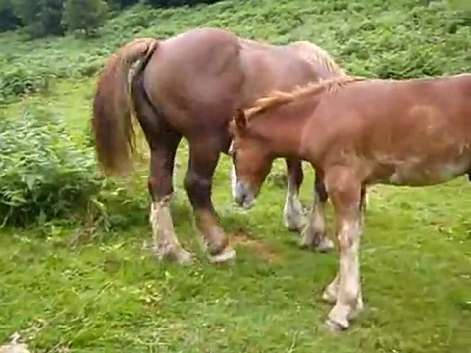 mes plus belles randonnées sportives dans les Pyrénées  avec mes amies