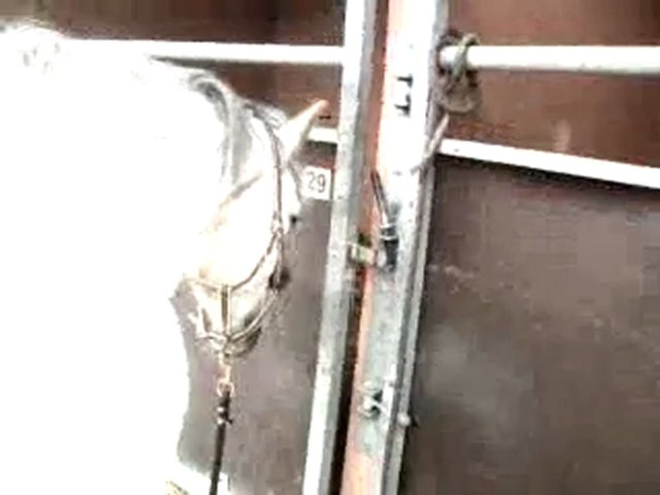 séance gratouille pour le gros playplay à lamotte ♥