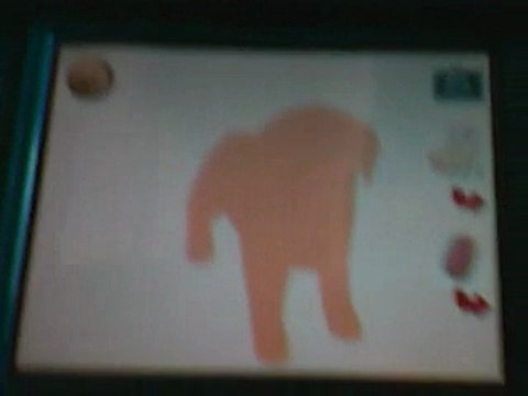 video test de nintendogs+cats sur 3ds