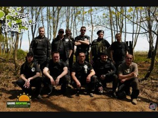 fighting owls Présentation