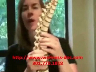 Rockville MD Chiropractor Uses Computerized Muscle Scan