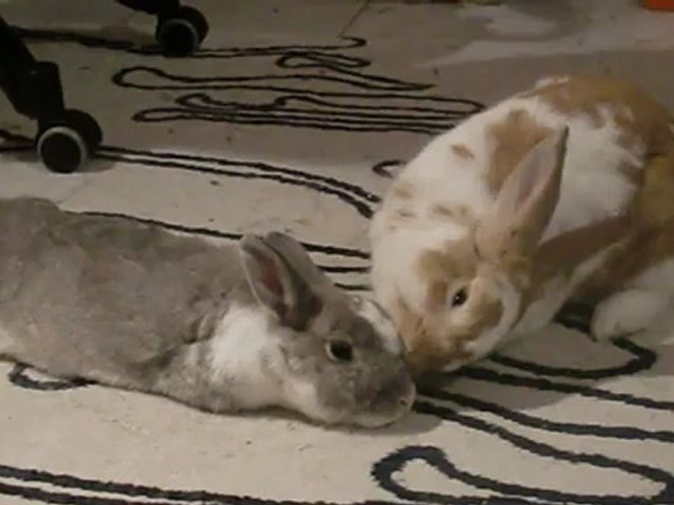 Mona & Quinn bisous