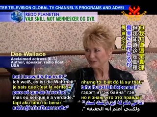 Using the Light Within: Hollywood Actress Dee Wallace