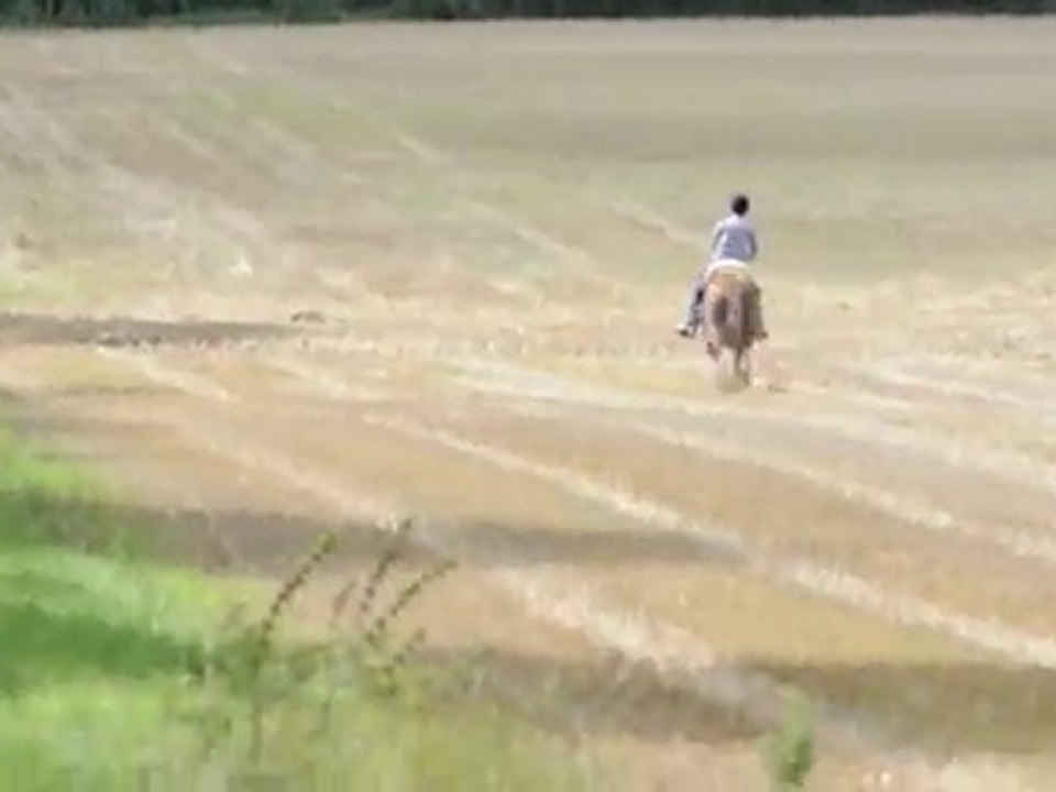 petit galop dans les éteules
