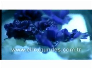 ebru gündeş hirbir zaman