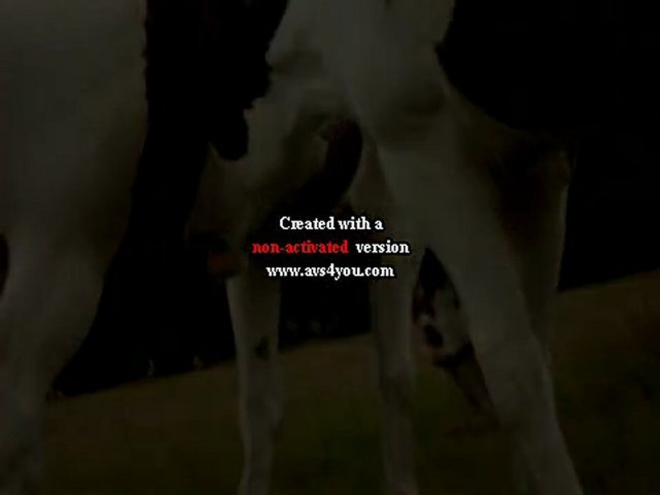 Du coté de chez nous ... ♥ x)