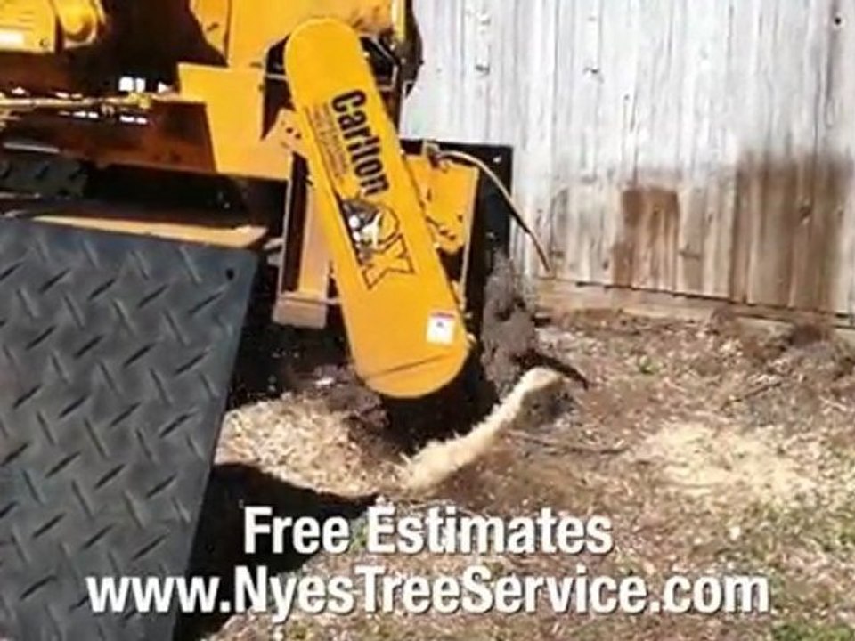 Utah Stump Removal - Ogden Tree Service - Nyes Tree Service