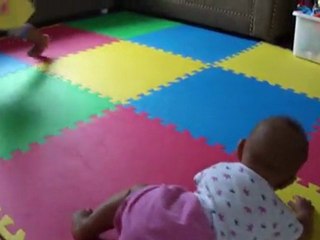 Jasmine rampe par terre-aout 2011