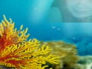 DMDJSC - waiting for a star to fall remix [sissa on the mix 126]