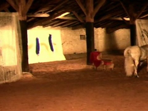 Tango du Cheval Mac Bruist avec Olivier Schneider et le peintre Arnaud Darne pour les Folies-Cheval 2011