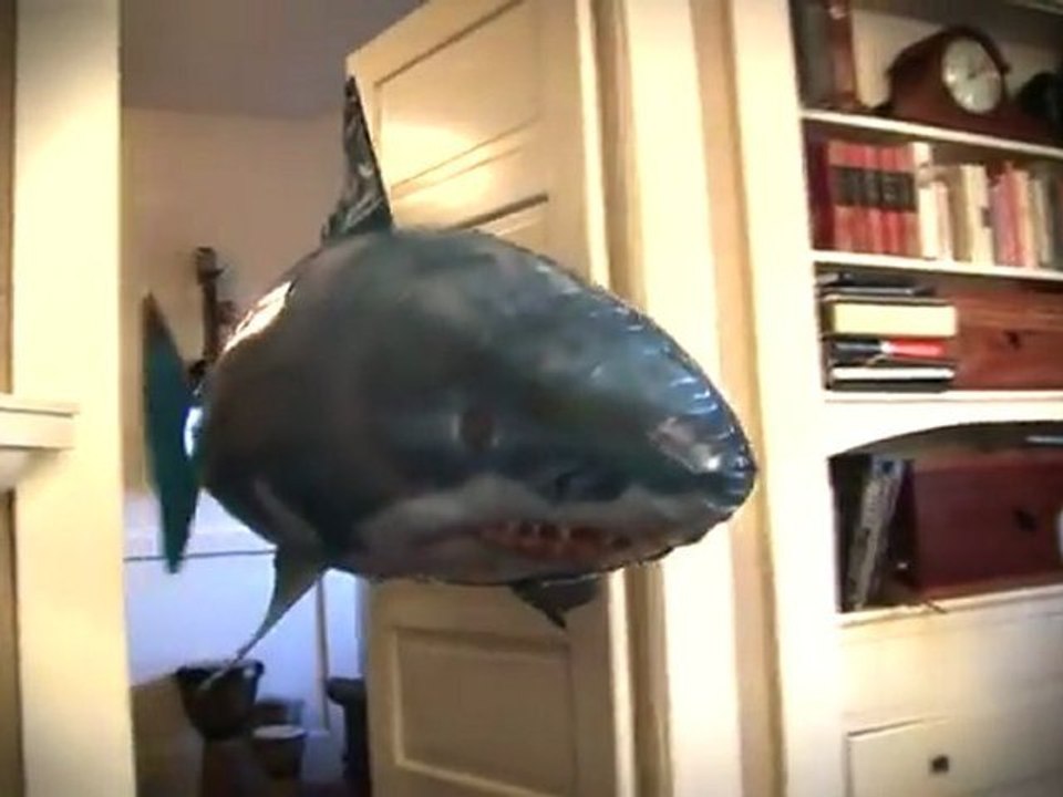 Air Swimmer - Jetzt ist man schon an Land nicht mal mehr sicher vor Haien.