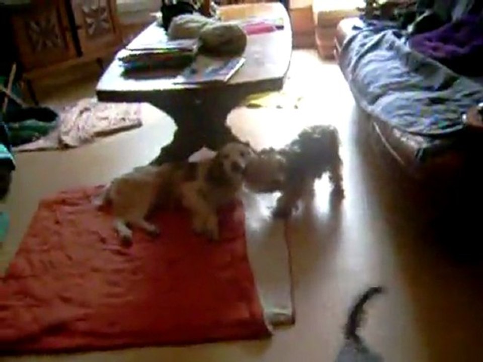 Arrivée Spirou 12 08 2011