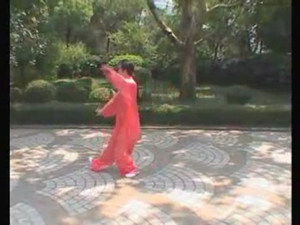 Taiji Style Chen : La forme Paochui