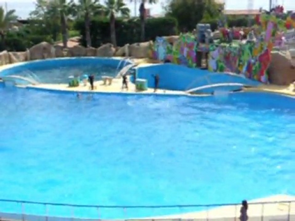Marineland 1