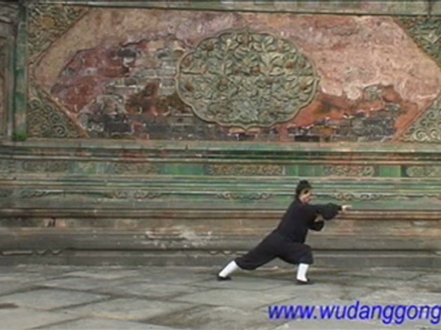 Wudang Kung Fu Tai He Quan 武当太和拳