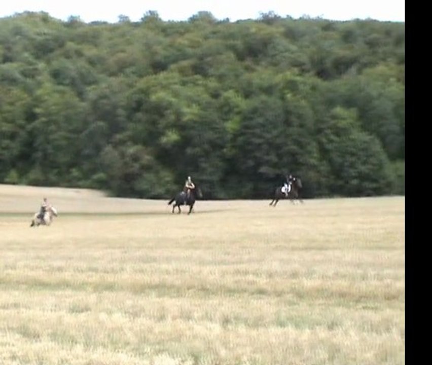 déboulé dans un chame