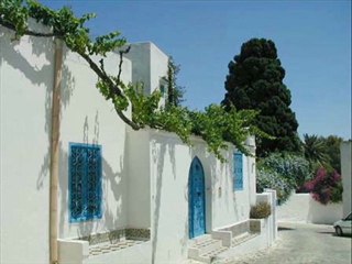 Les Portes Magiques de Sidi Bou Said