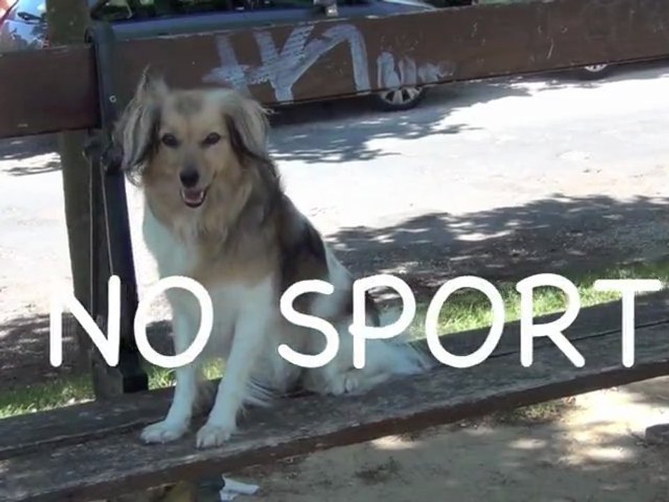 Chronique de l'ordinaire 1 -  Léo se rebiffe