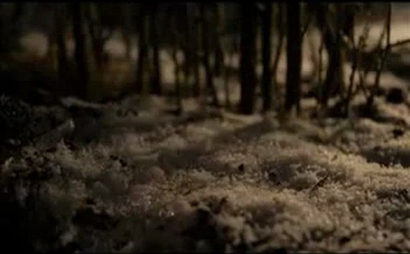 Fleet Foxes - White Winter Hymnal