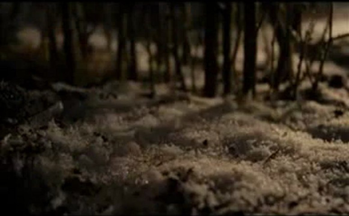 Fleet Foxes - White Winter Hymnal