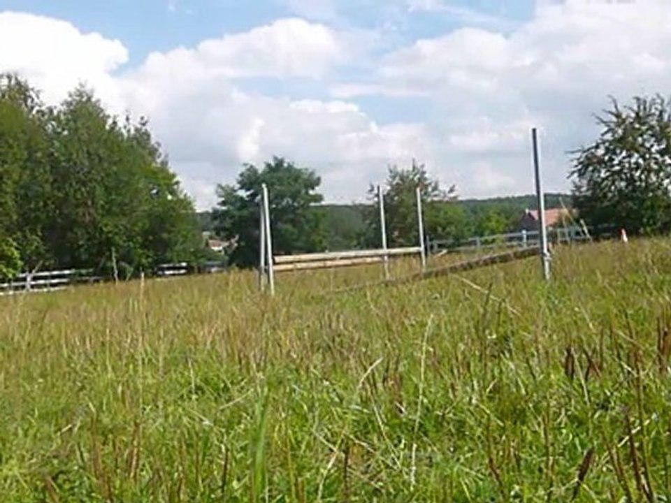 Oxer 60 cm