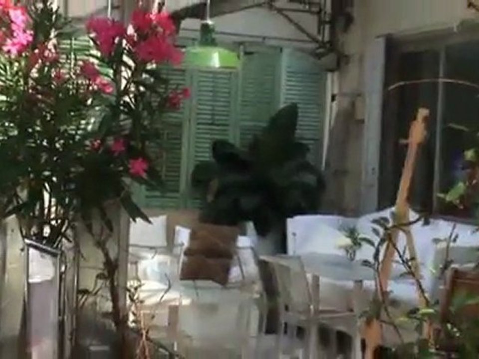 Downtown Toronto Casa Condo Real Estate Listings