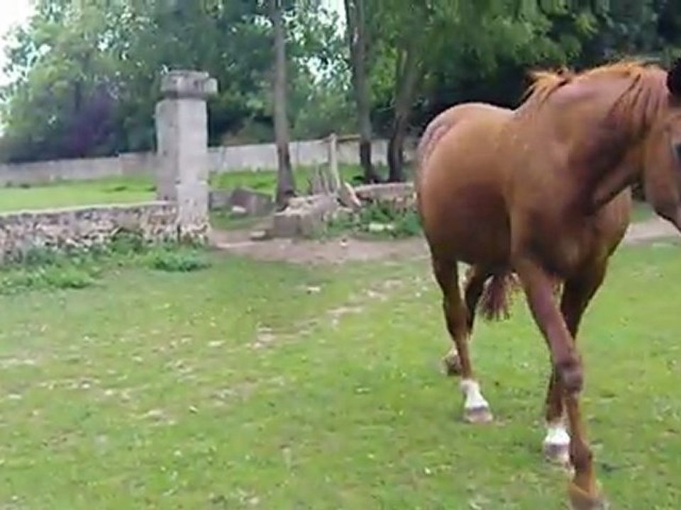 retrouvaille apres les vacances