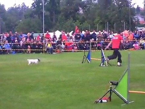 European Open Agility Championships 2011 - Small France