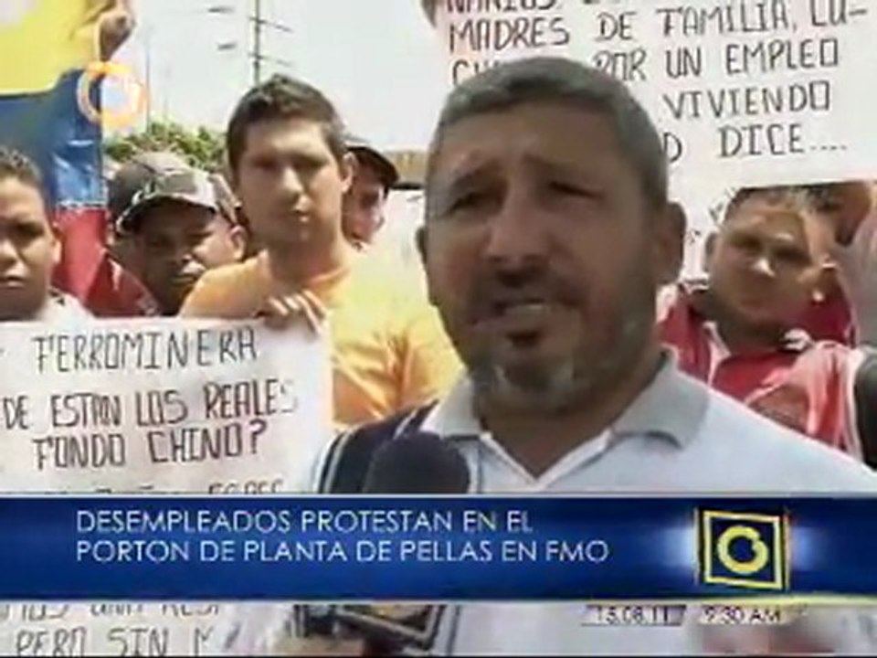 Toman planta de pellas