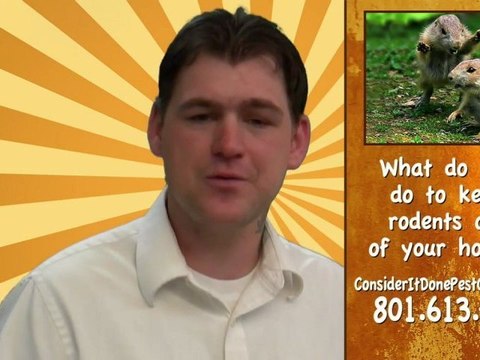 Pest Control Layton - How do I keep rodents out of my house