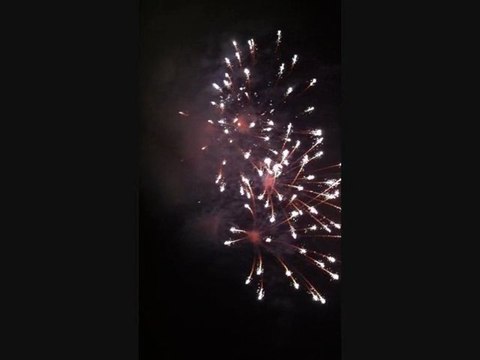 fetes basques 2011 MC.lem