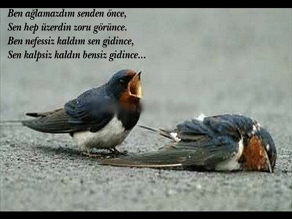 Kendim Düstüm Kendim Kalkabilirim