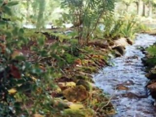 MON CHANT EST UN RUISSEAU  (GOUGAUD - FERRAT)